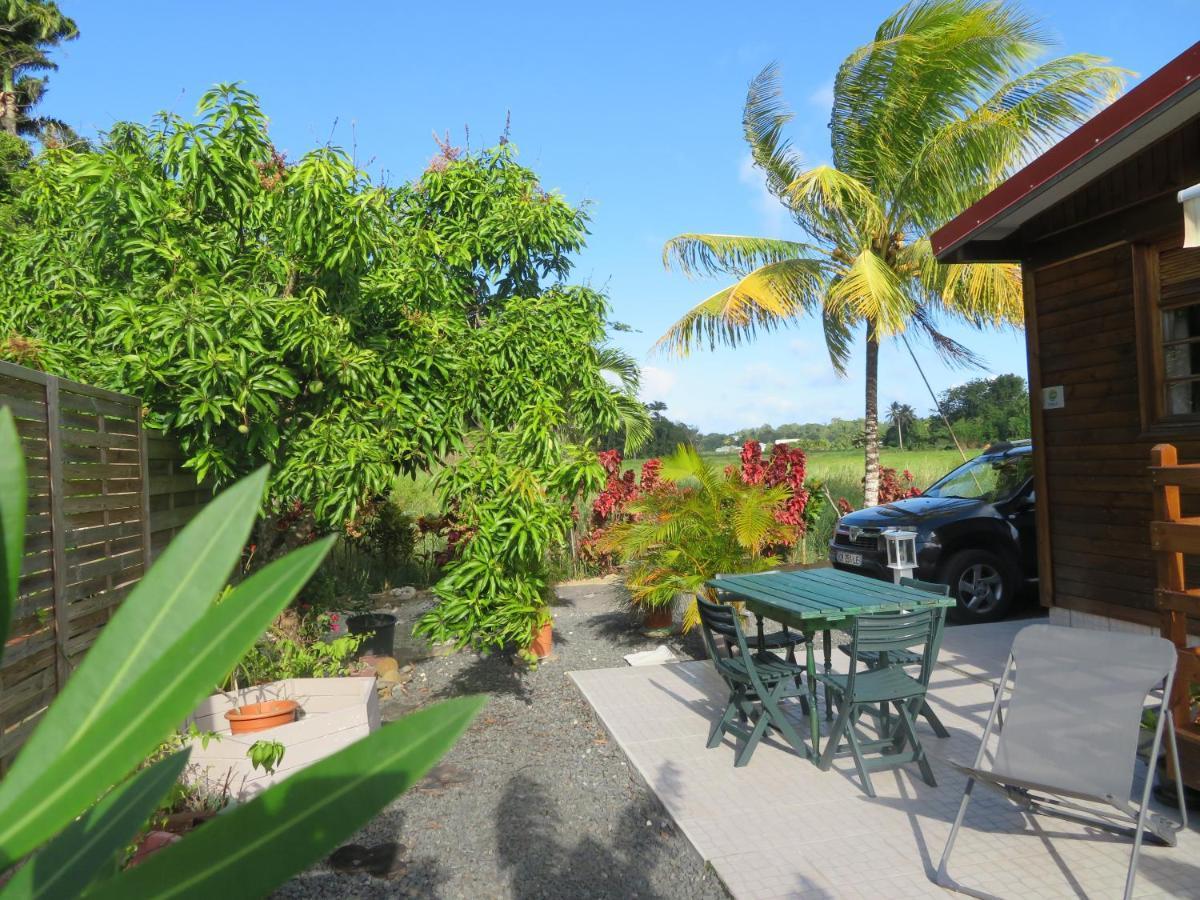 Bungalow Des Paletuviers Morne-a-l'Eau Exterior photo
