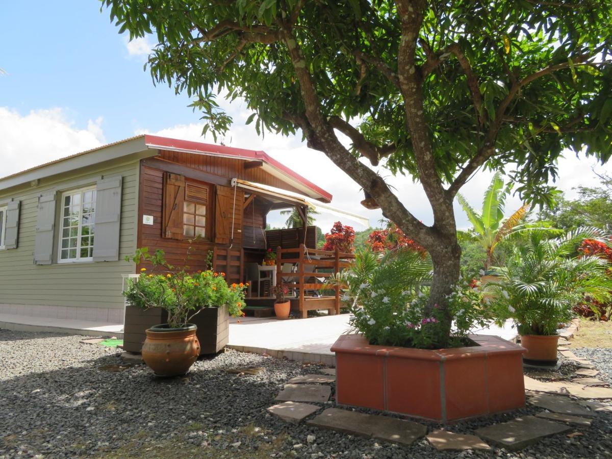 Bungalow Des Paletuviers Morne-a-l'Eau Exterior photo